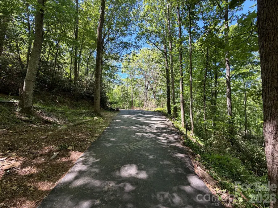25 Buck Ridge Road, Fairview, NC 28730 - #3