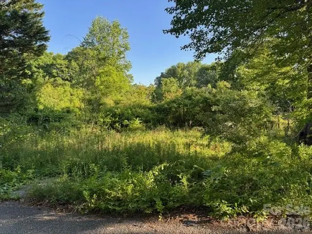 202 Dundee Street, Hendersonville, NC 28791 - #3