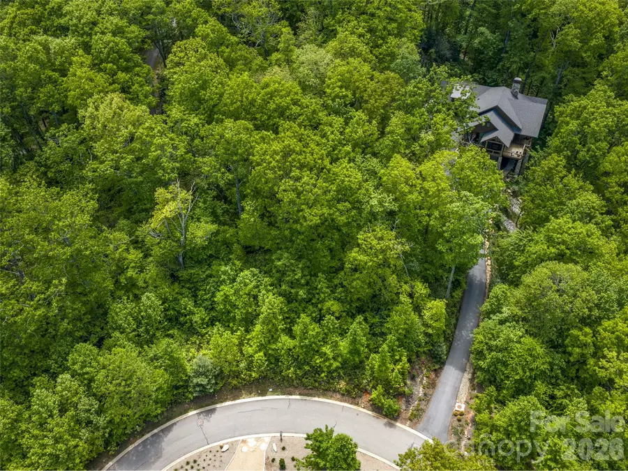 9 Crockett Ridge Road, Black Mountain, NC 28711 - #3