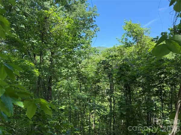 0 Buffalo Shoals Road #1, Lake Lure, NC 28746