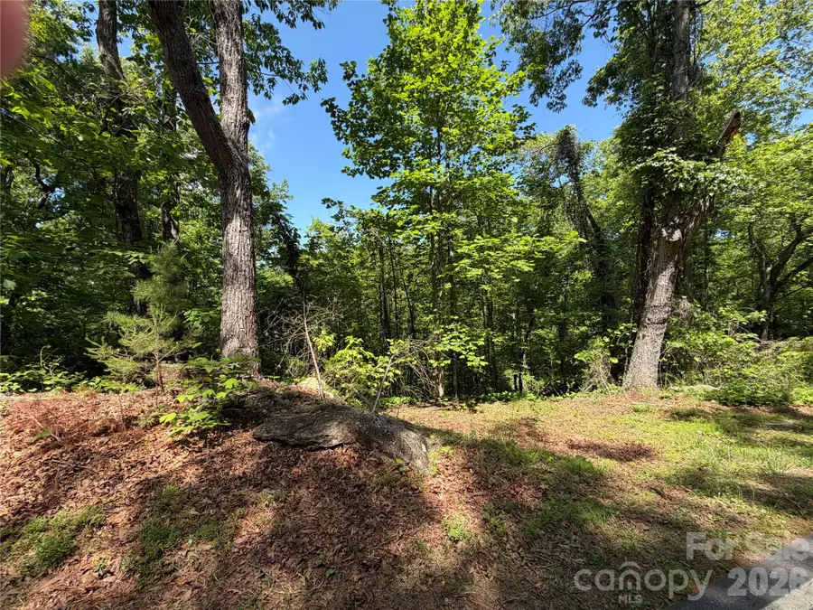 0 Buffalo Shoals Road #1, Lake Lure, NC 28746 - #2