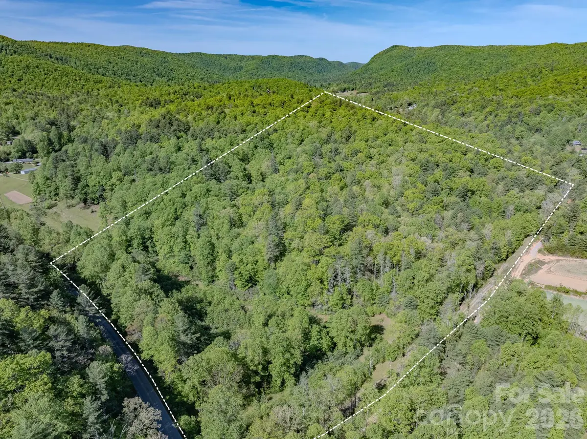4111 Bobs Creek Road, Zirconia, NC 28790 - #1
