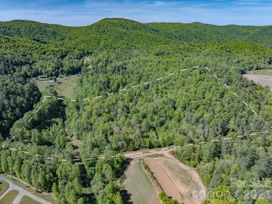 4111 Bobs Creek Road, Zirconia, NC 28790 - #2