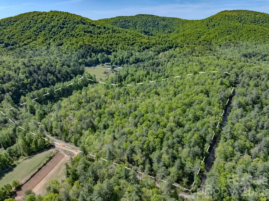 4111 Bobs Creek Road, Zirconia, NC 28790 - #3