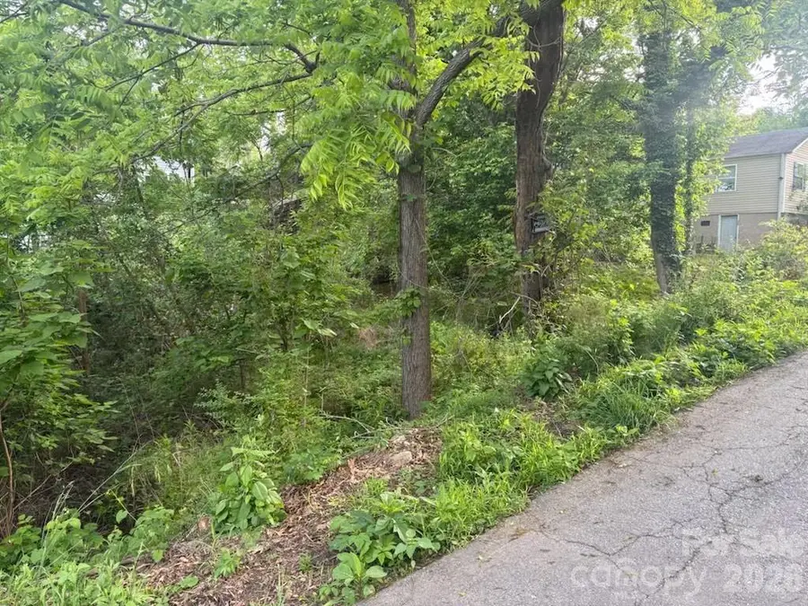 111 Waynesville Avenue, Asheville, NC 28806 - #2