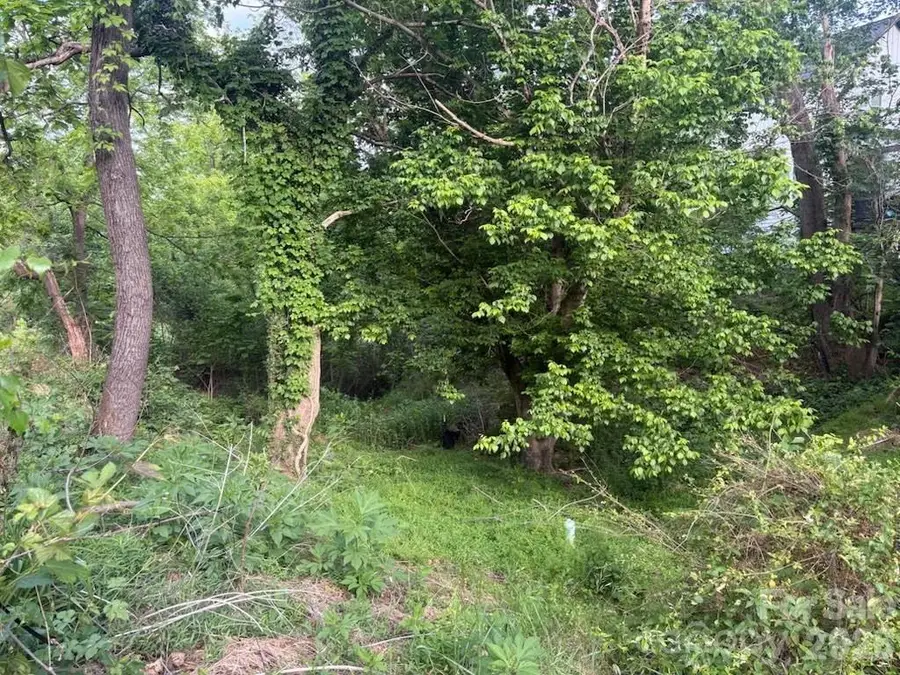 111 Waynesville Avenue, Asheville, NC 28806 - #3