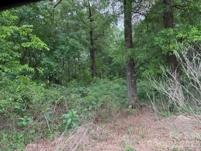 8838 Morgan Mill Road, Monroe, NC 28110 - #2