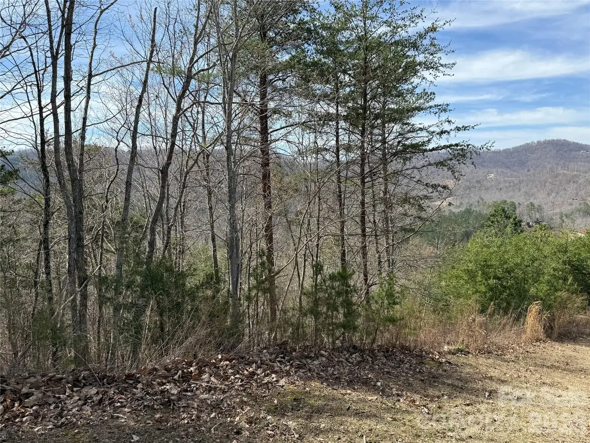 Lot 165 Pinegrove Drive #165, Bostic, NC 28018 - #1