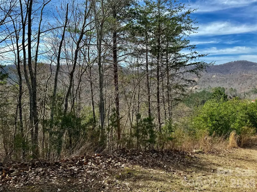 Lot 165 Pinegrove Drive #165, Bostic, NC 28018 - #2