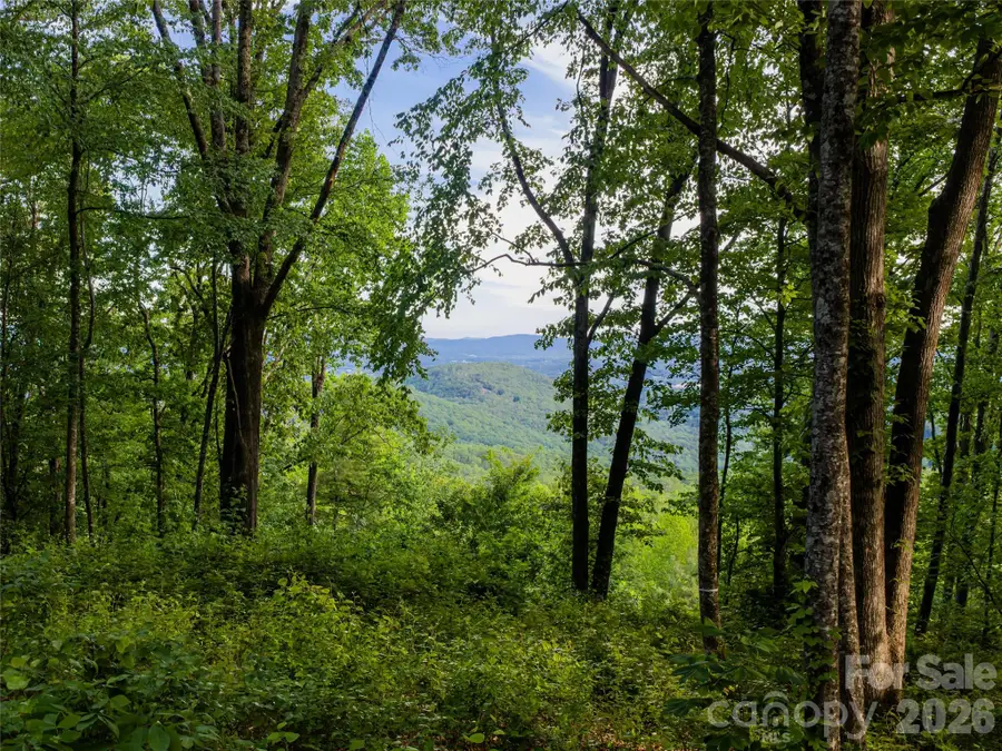 000 New Sprout Lane #2, Hendersonville, NC 28792 - #2