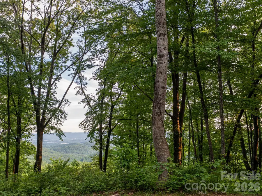 000 New Sprout Lane #2, Hendersonville, NC 28792 - #3