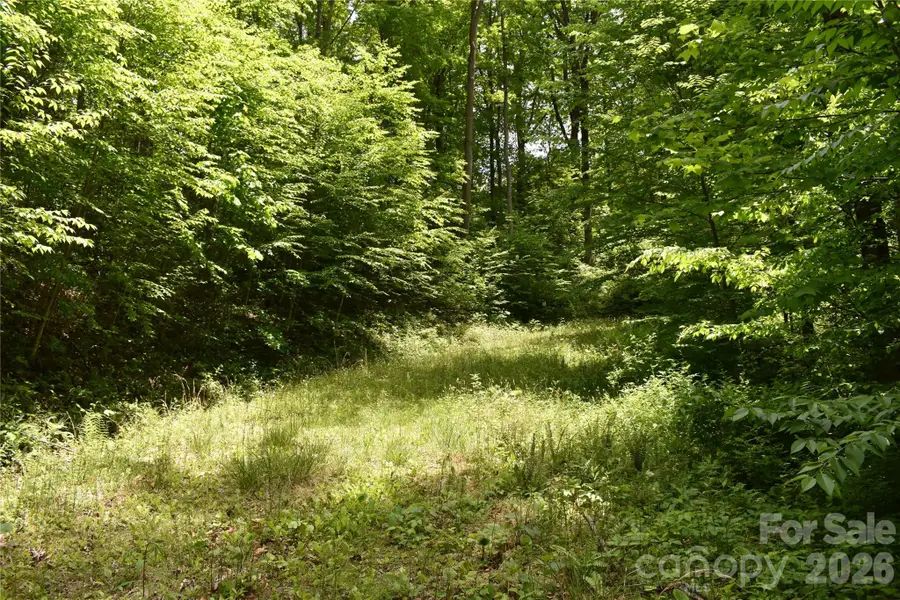 Lot 18 Covered Bridge Trail, Waynesville, NC 28785 - #3