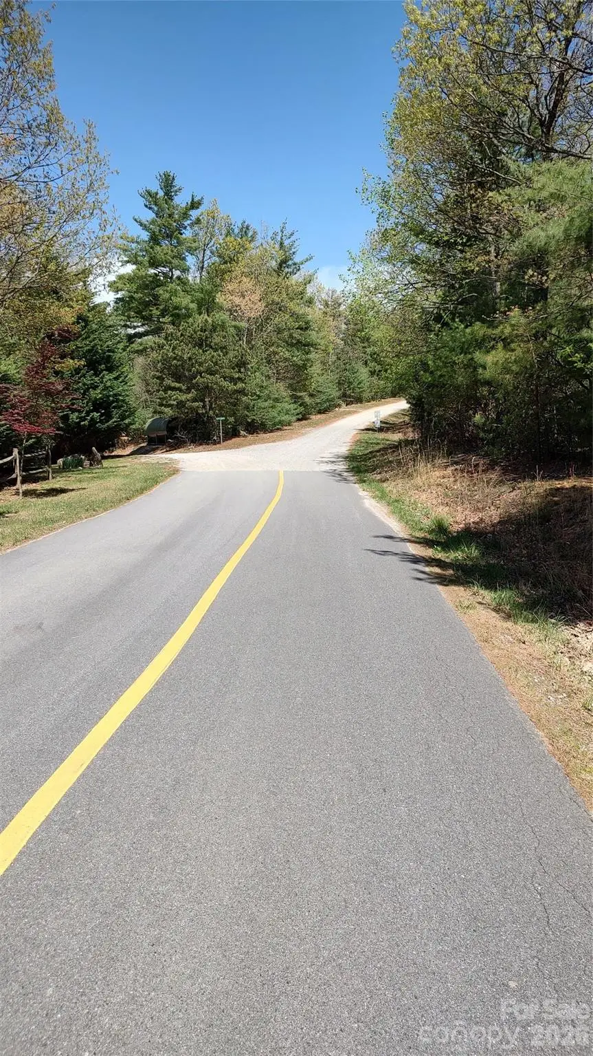 0 Staghorn Road, Purlear, NC 28665 - #2