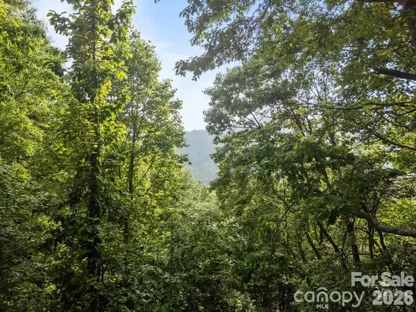 00 Granny Shepherd Road, Mars Hill, NC 28754