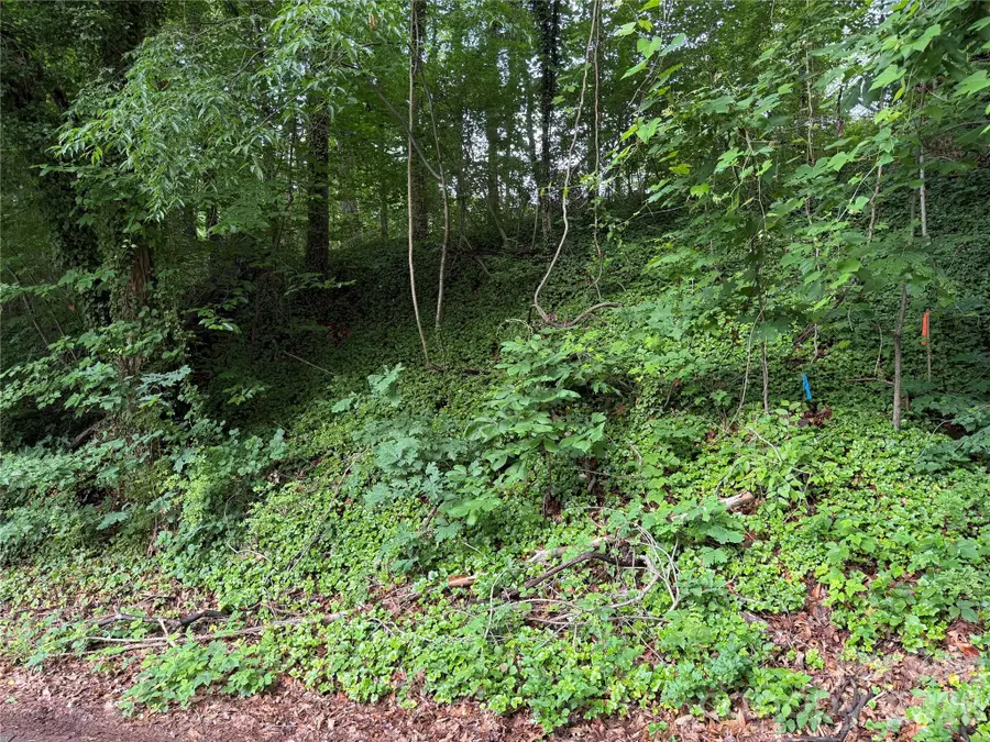 89 Iris Street, Asheville, NC 28803 - #3