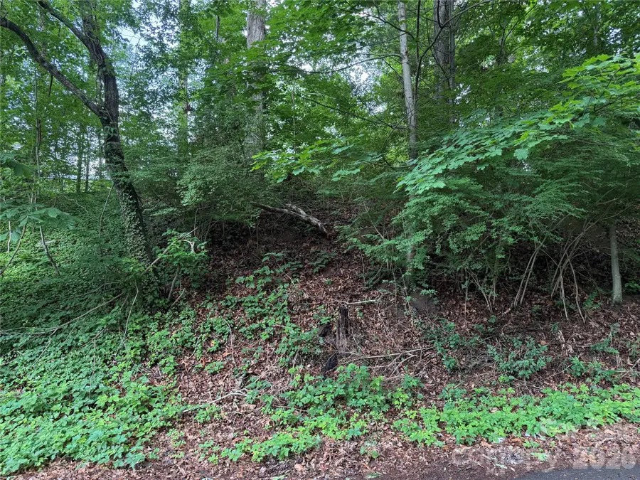 87 Iris Street, Asheville, NC 28803 - #2