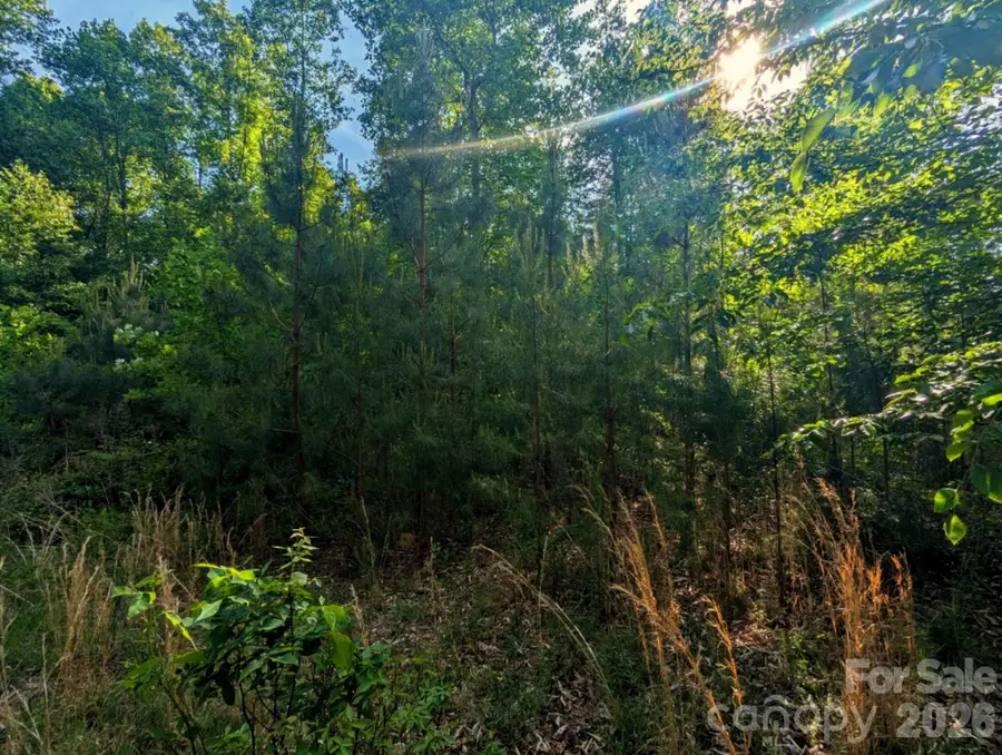 2162 Columbia Ridge #4, Connelly Springs, NC 28612 - #3