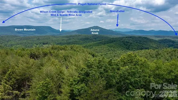Lot 731, 5971 Box Turtle Run #731, Lenoir, NC 28645