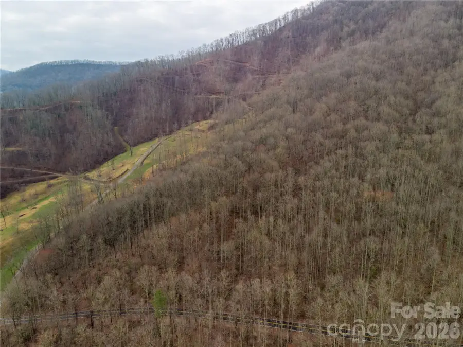00 Upper Tuskeegee Road, Robbinsville, NC 28771 - #3