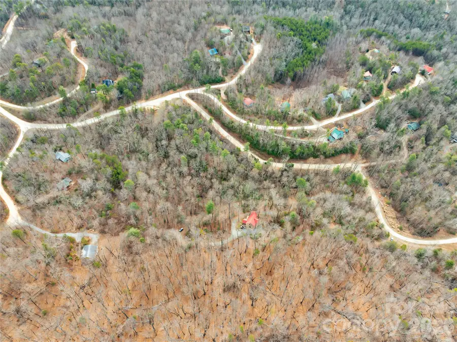 184 Deep Woods Lane, Saluda, NC 28773 - #2