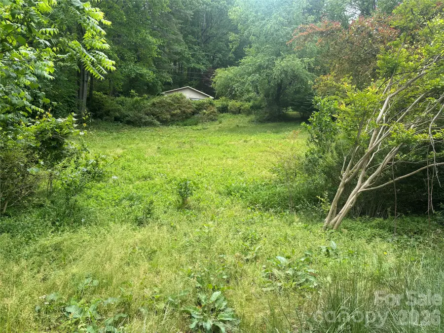 00000 Browning Avenue, Hendersonville, NC 28739 - #3