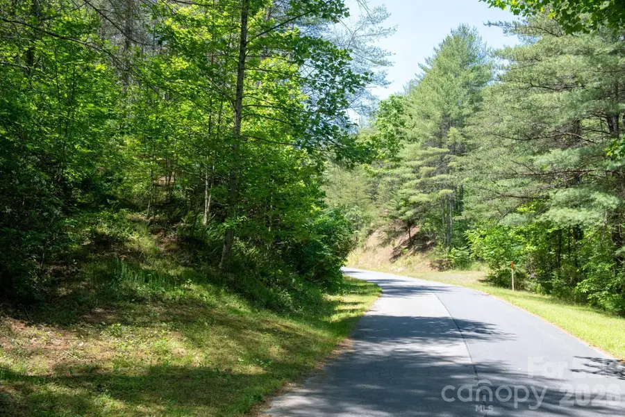 000 Narrow Gauge Drive #18, Lenoir, NC 28645 - #2