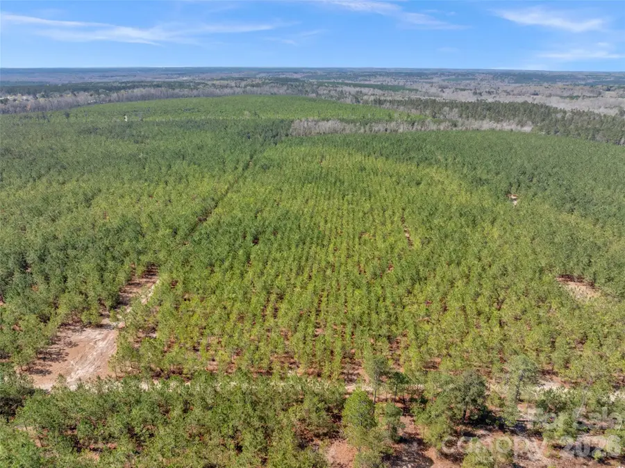 931 Charlie Johnson Road #5, Kershaw, SC 29067 - #2