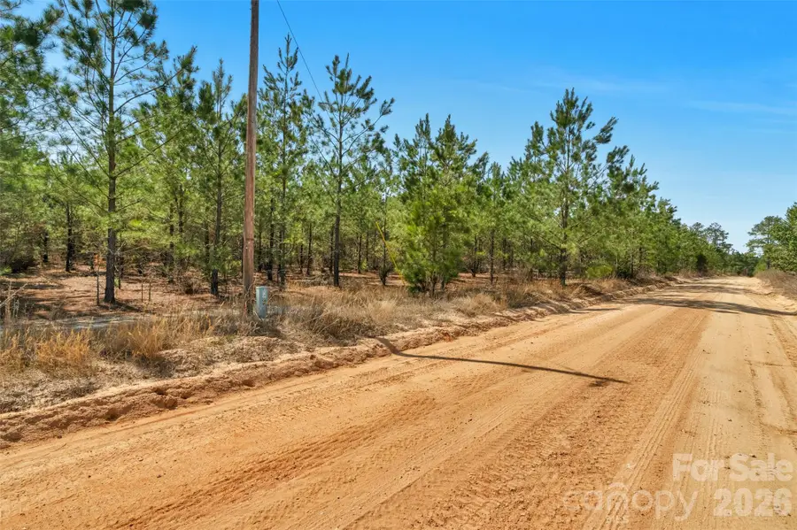 931 Charlie Johnson Road #5, Kershaw, SC 29067 - #3