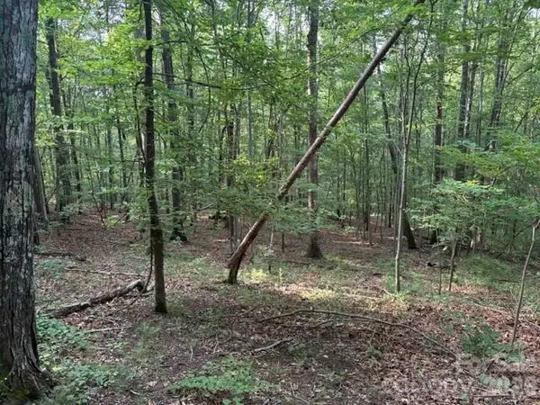 00 Cardinal Circle, Tryon, NC 28782