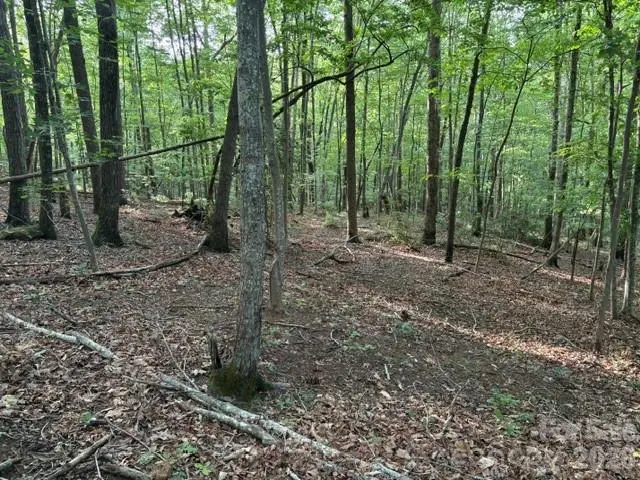 00 Cardinal Circle, Tryon, NC 28782 - #2