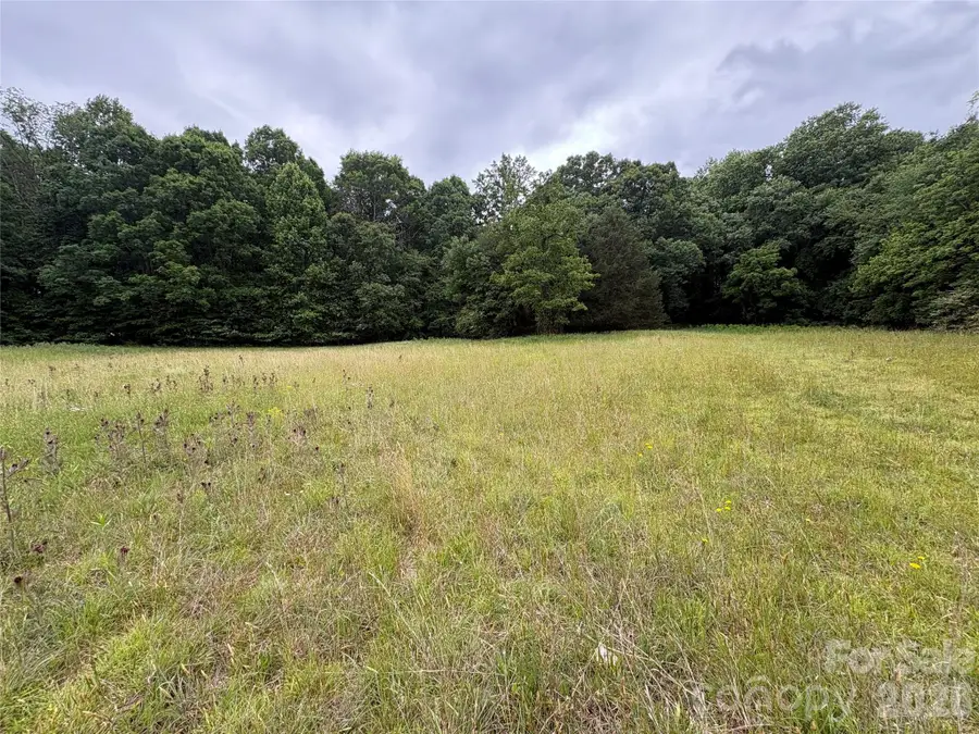 254 Beechwood Farm Road #1, Statesville, NC 28625 - #3