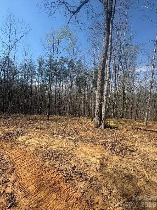 TBD Avenida De Oro Road #3.1, Morganton, NC 28655