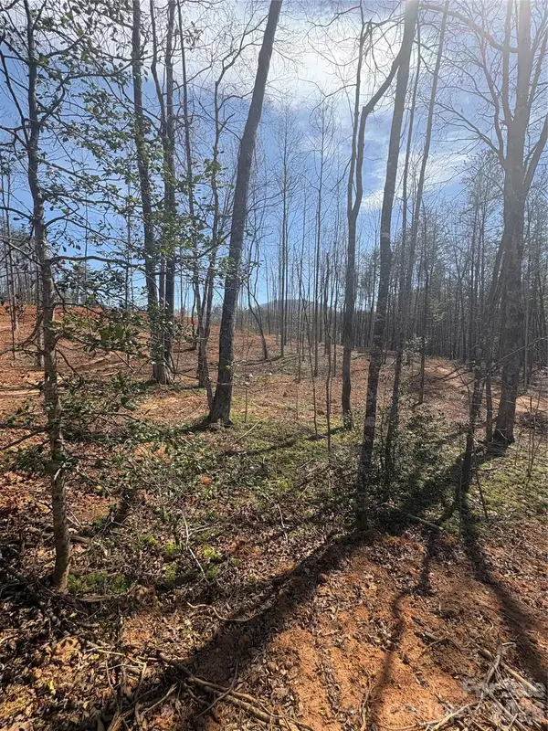 TBD Avenida De Oro Road #2.2, Morganton, NC 28655