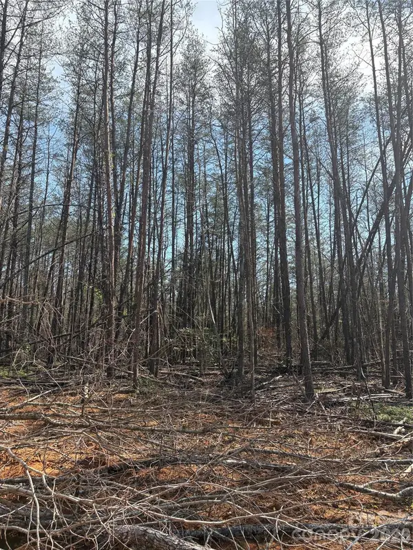 5317 Avenida De Oro Road #2.2, Morganton, NC 28655
