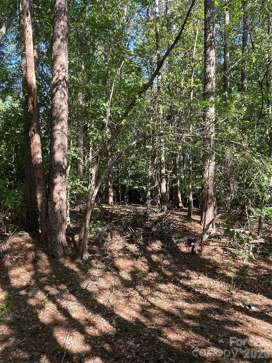 0 Lockhard Circle, Troutman, NC 28166 - #2