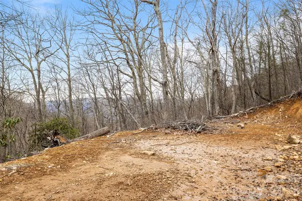 1480 Odalu Trail, Maggie Valley, NC 28751