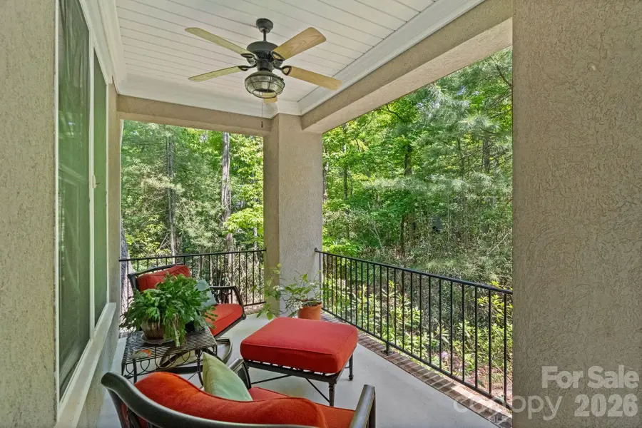 11 Blue Damsel Court, Biltmore Lake, NC 28715 - #3