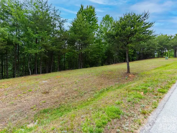 38 Deep Gap Farm Road E #38, Mill Spring, NC 28756