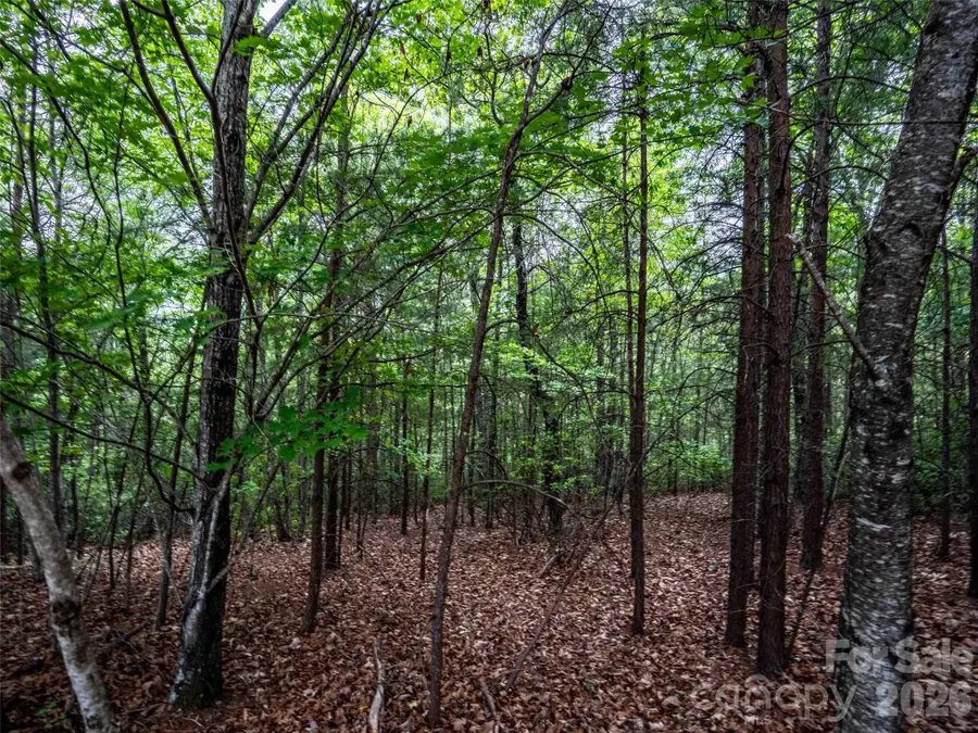 38 Deep Gap Farm Road E #38, Mill Spring, NC 28756 - #3