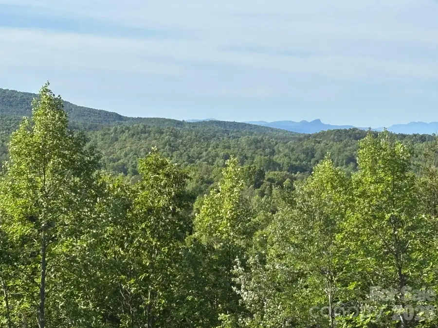 TBD Vein Mountain Road #6, Nebo, NC 28761 - #3