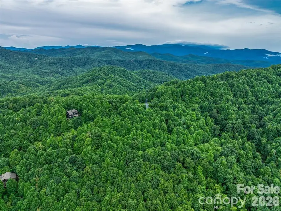 71 Kestrel Lane #C-8, Black Mountain, NC 28711 - #2