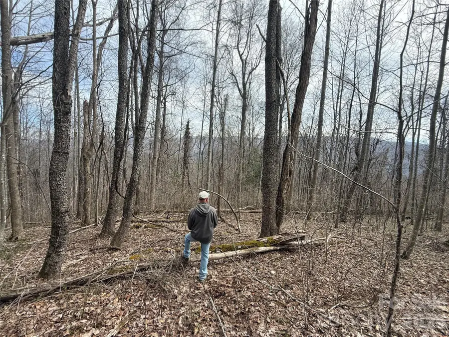 000 Caldwell Mountain Road, Hot Springs, NC 28743 - #2