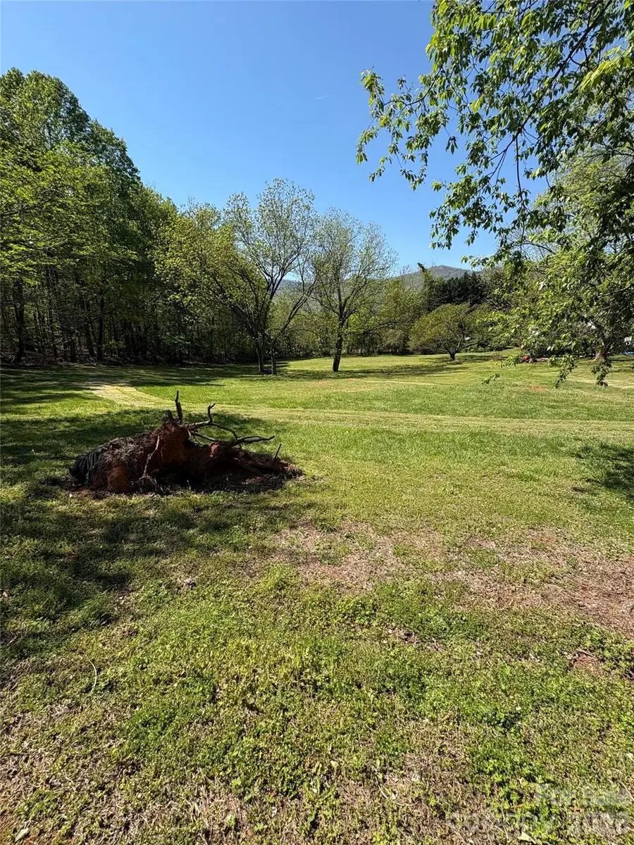 42 Peniel Road, Columbus, NC 28782 - #2