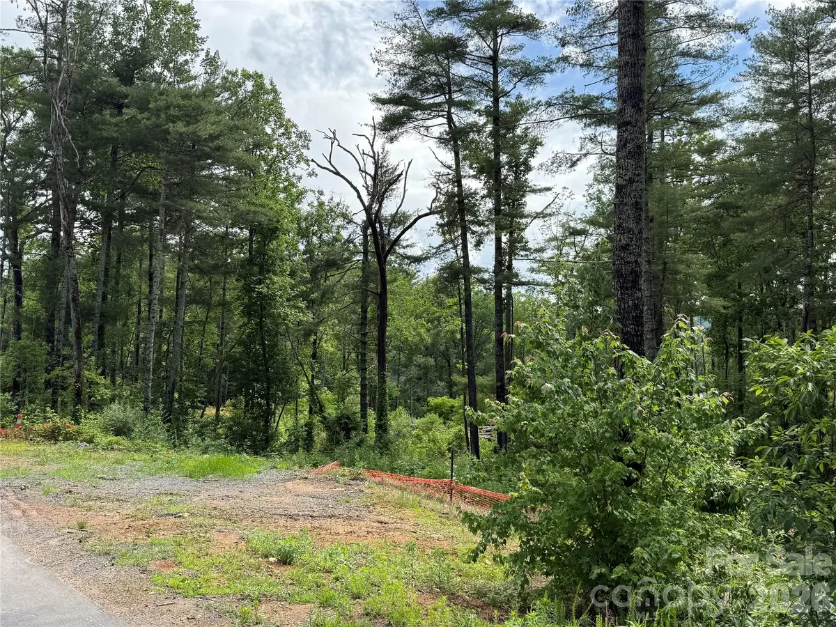 173 Cascade Ridge Road, Fairview, NC 28730 - #1