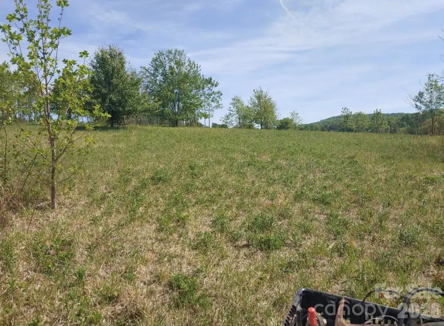 Off Landis Lane, Nebo, NC 28761 - #3