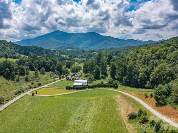 000 Locust Rough Mountain Road #Lots 5 & 6, Burnsville, NC 28714