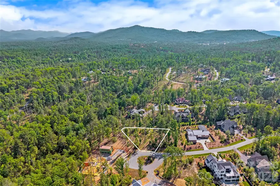 325 Flowering Vine Court, Asheville, NC 28803 - #2