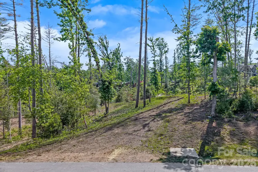 325 Flowering Vine Court, Asheville, NC 28803 - #3