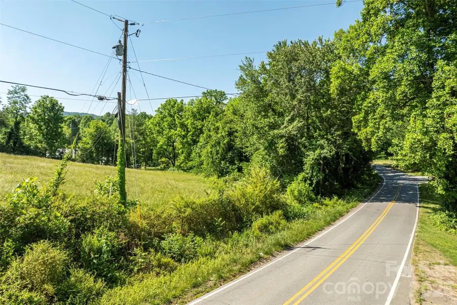 99999 Luther Road, Candler, NC 28715 - #2