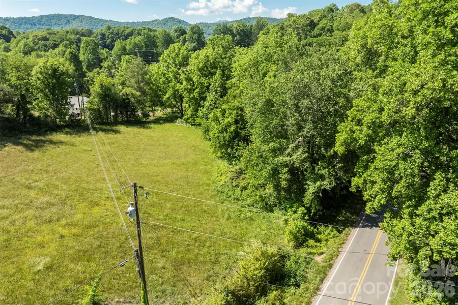 99999 Luther Road, Candler, NC 28715 - #3